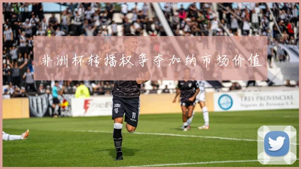 非洲杯转播权争夺加纳市场价值