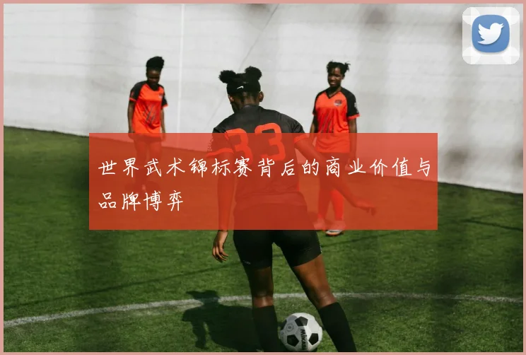 世界武术锦标赛背后的商业价值与品牌博弈