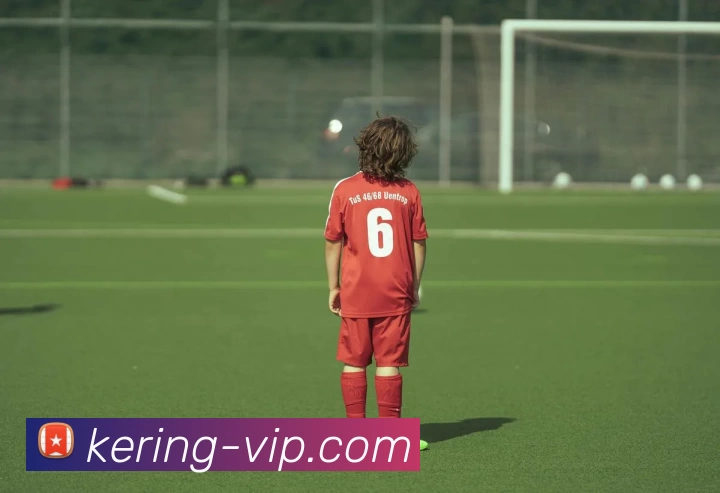 开云APP 高清赛事图