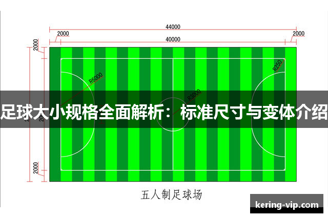 足球大小规格全面解析：标准尺寸与变体介绍