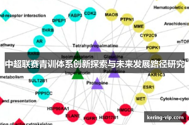 中超联赛青训体系创新探索与未来发展路径研究